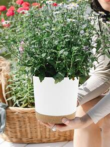 1入組塑膠植物白色花盆適用於植物 - 白色 - 查看 2