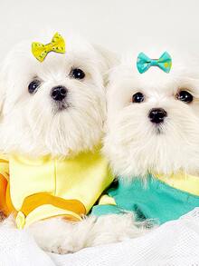 30pcs Bow Decor Random Pet Hair Clip - Multicolor - View 5