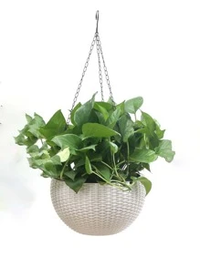 1入組塑膠植物日常白色藤懸掛式花籃適用於花園