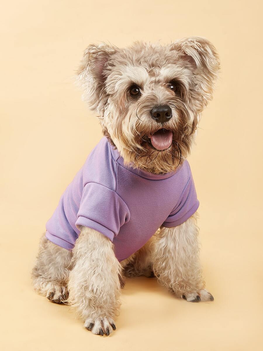 1pc Solid Color Pet Tee