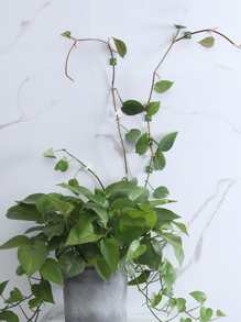 10 cái Ngẫu nhiên Thực vật Leo lên Tường Kẹp Cố định - màu xanh lá - Xem 6