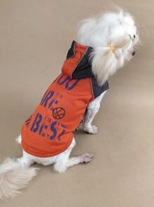 1pc Slogan Graphic Pet Tank - Multicolor - View 1