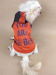 1pc Slogan Graphic Pet Tank - Multicolor - View 4