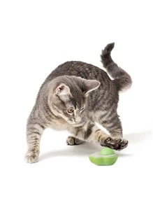 1pc Paw Design Cat Teaser Toy - Green - View 2