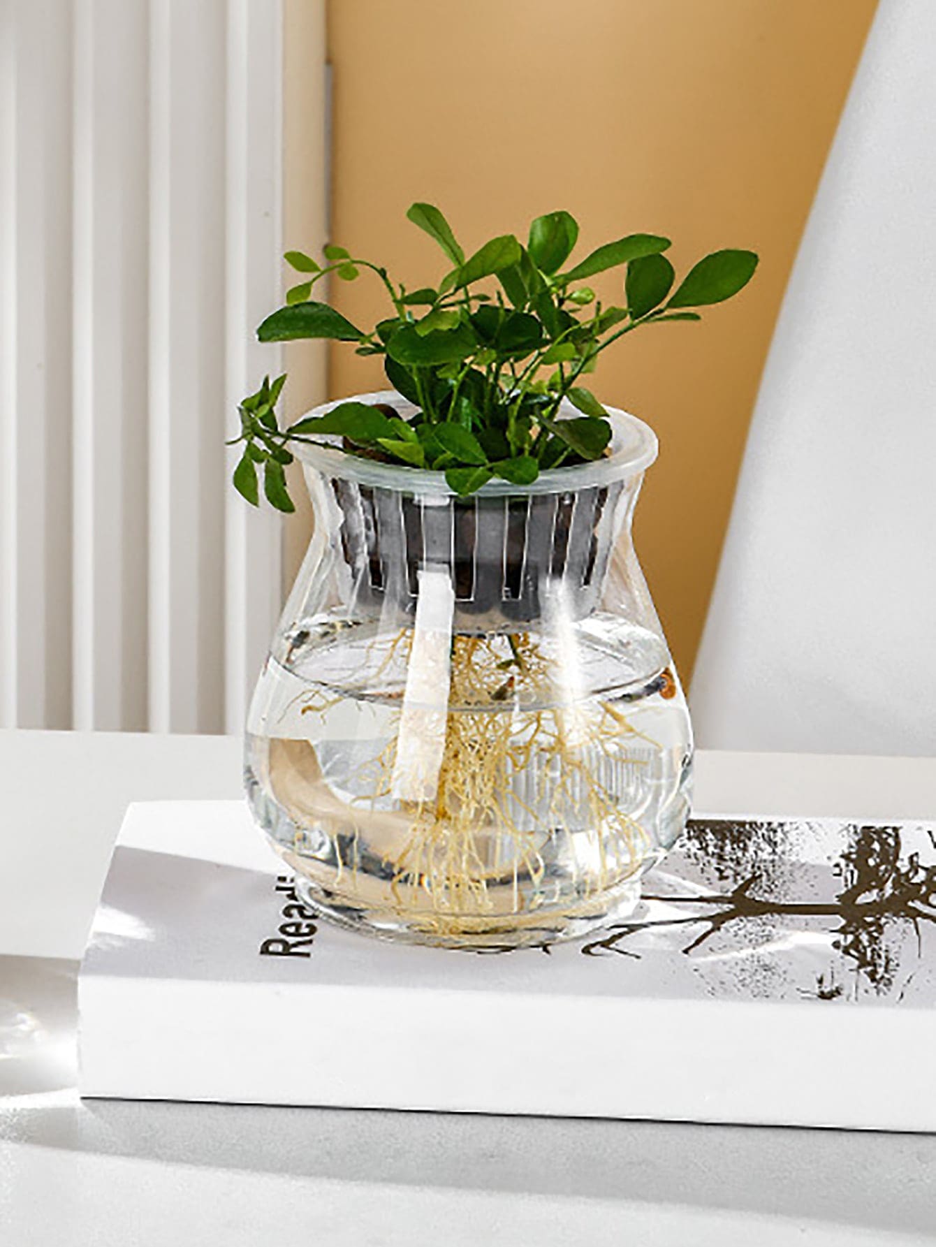 1 Pieza Contenedor De Planta Acuática De Plástico Transparente, Maceta De Escritorio Hidropónica De Flor De Jarrón - transparente - Ver 1