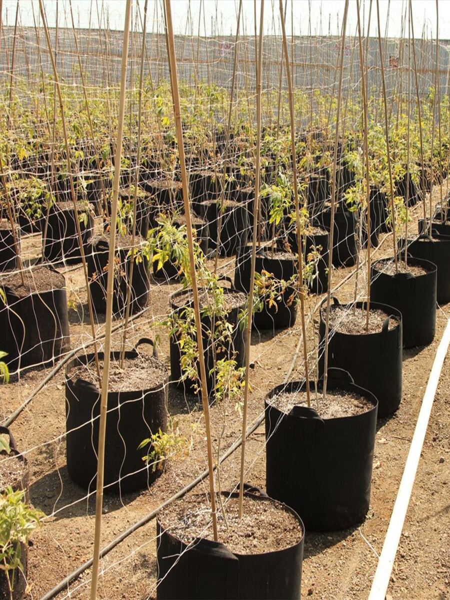 1入組無紡布植物種植袋黑色加厚花園種植袋 - 黑色 - 查看 1