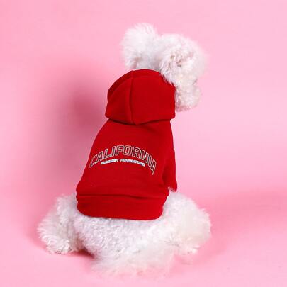 1入組字母圖案寵物連帽衫