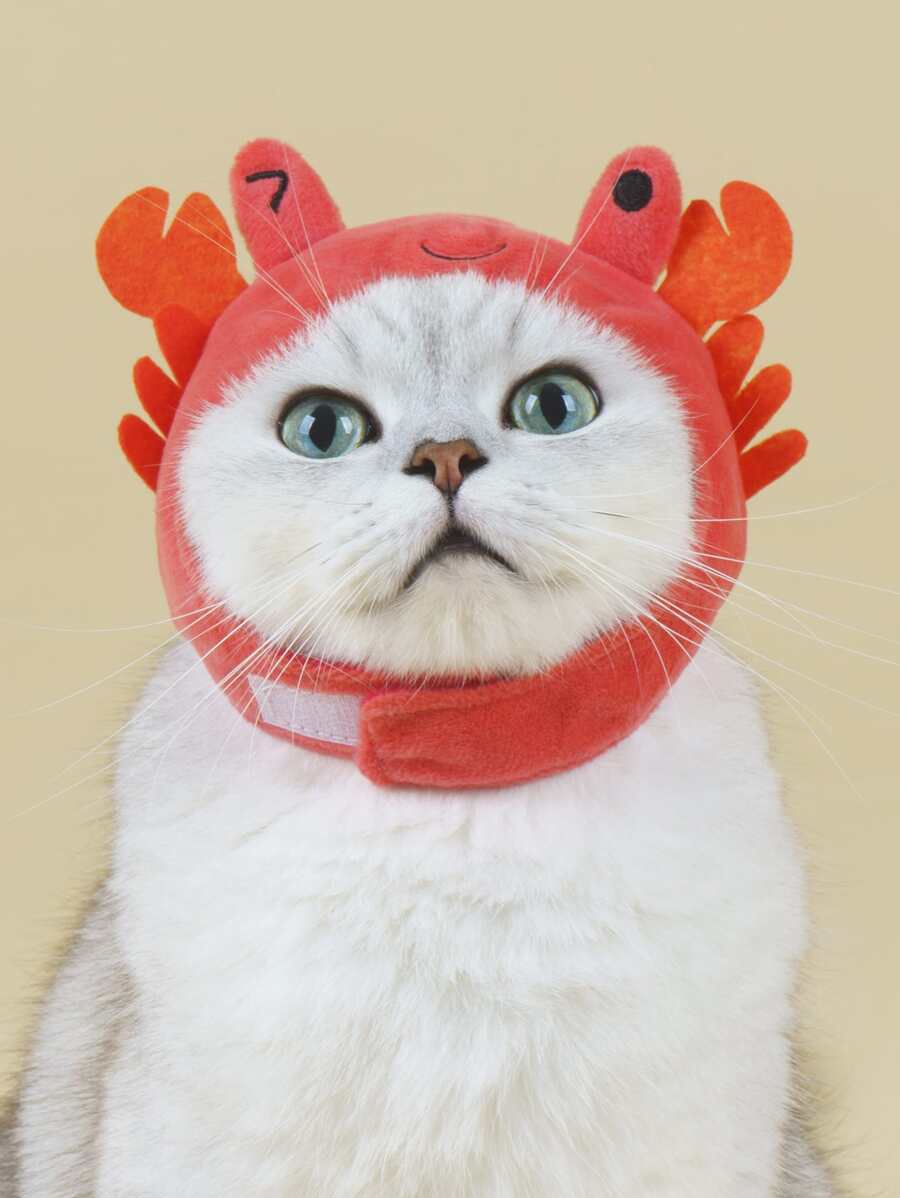 1pc Cartoon Crab Design Pet Headwear - Multicolor - View 1