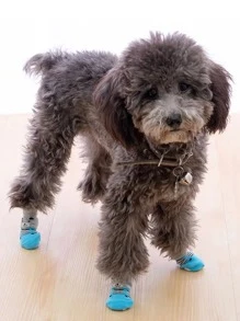 4pcs Cartoon Graphic Anti-slip Pet Socks - Light Grey - View 2