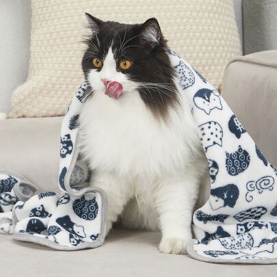 PETSIN 1 件装卡通提花宠物毯 小狗饲养狗床猫床 易于清洗