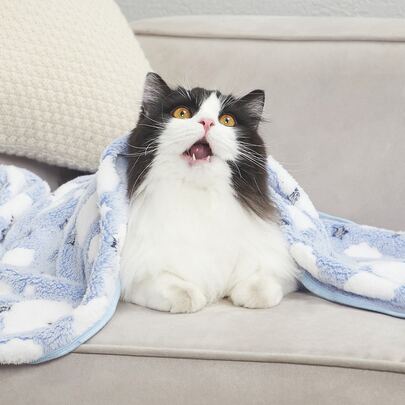 PETSIN 1 件云朵提花宠物毯 小狗饲养狗床猫床 易于清洁