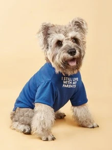 1pc Slogan Graphic Pet Tee - Blue - View 13