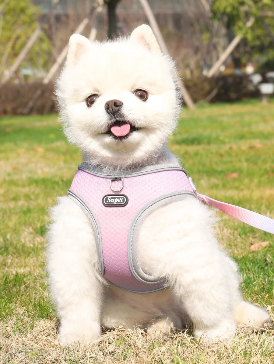 Supet 1入組漸層寵物背帶和1入組寵物牽引繩 - 淡紫色 - 查看 1