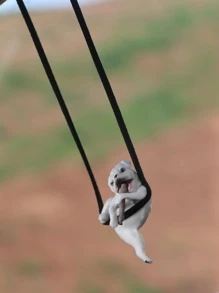 1pc Dog Design Car Hanging Ornament - Multicolor - View 2