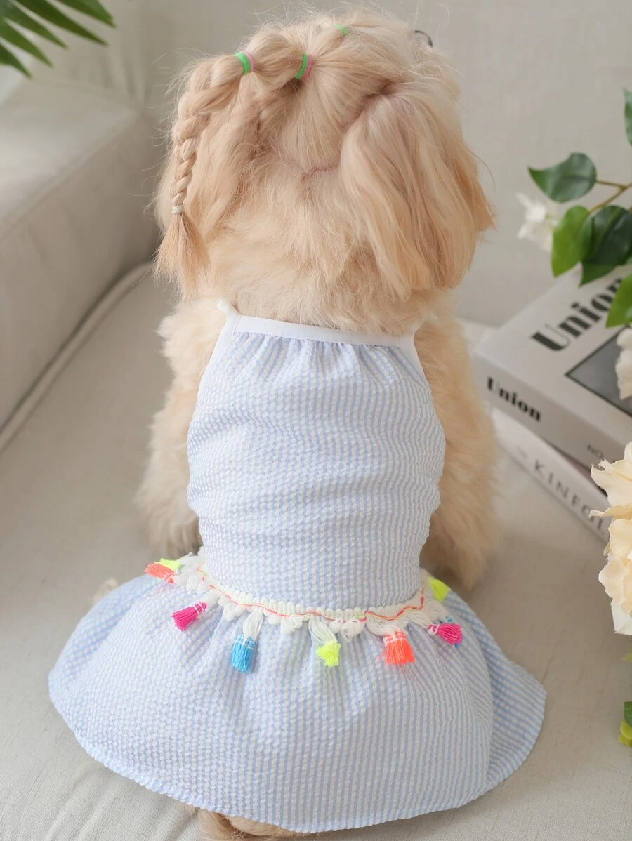 1 chiếc váy trang trí tua rua cho thú cưng - Màu xanh lam - Xem 1