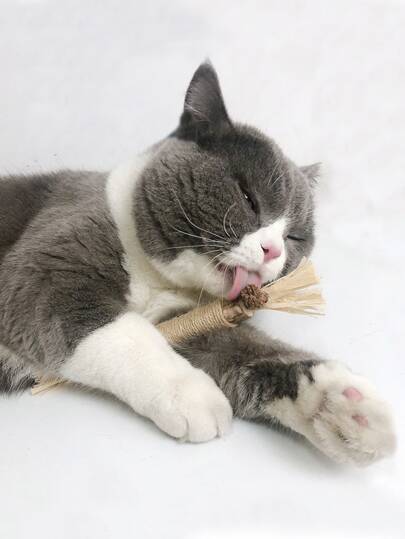 1pc Wooden Cat Teething Stick