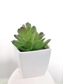 3 chậu cây mọng nước nhân tạo trang trí nhỏ, kệ hoa tủ tivi gia đình, đồ trang trí cây xanh, đồ trang trí cây mọng nước cho tiệc cưới, lễ đính hôn, ngày lễ tình nhân - Nhiều màu - Xem 7