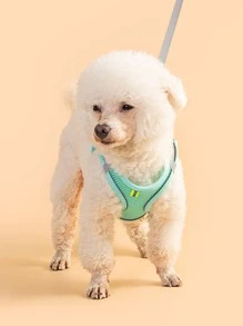1pc Mesh Pet Harness & 1pc Leash - Mint Blue - View 3