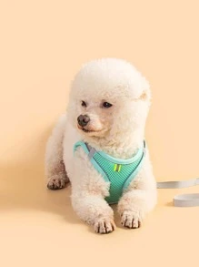 1pc Mesh Pet Harness & 1pc Leash - Mint Blue - View 5
