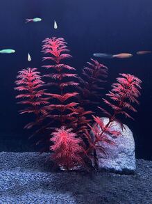 1pc Artificial Aquatic Plant Fish Tank Ornament - Multicolor - View 1