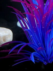 1 pieza Planta acuática artificial, decoración de acuario, accesorios para pecera - Multicolor - Ver 3