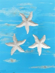 3 件/套树脂白色海星装饰，OPP 袋包装最佳礼物