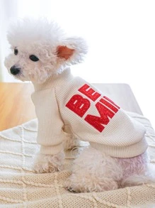 1pc Letter Embroidered Pet Tee - White - View 4