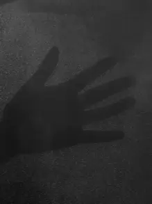 EMERY ROSE High Waist Lace Trim Leggings - Black - View 6