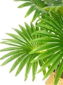 1株绿色仿真植物，家居装饰用假植物 - 綠色 - 查看 5