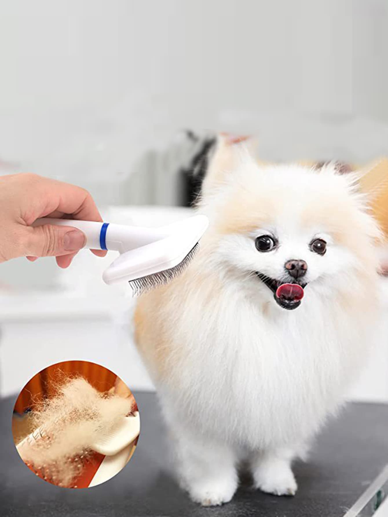 1入組雙色寵物脫毛劑梳子