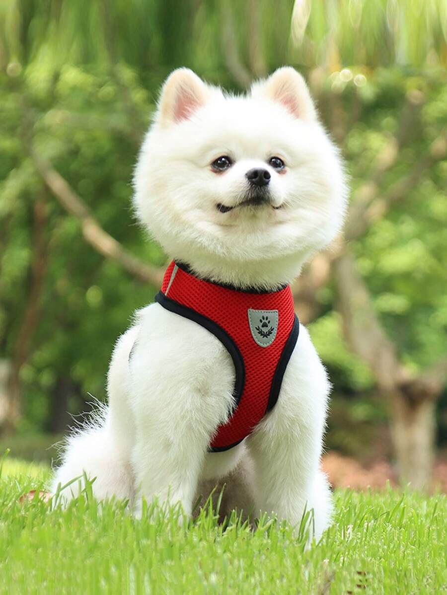 1pc Mesh Pet Harness & 1pc Leash - Red - View 1