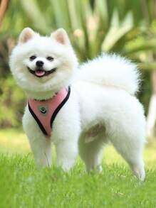 1pc Mesh Pet Harness & 1pc Leash - Pink - View 1