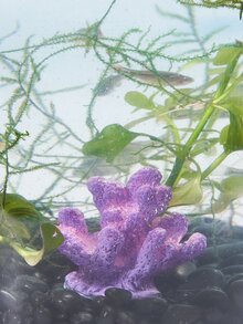 1 pieza Adorno coral pecera - Morado - Ver 2