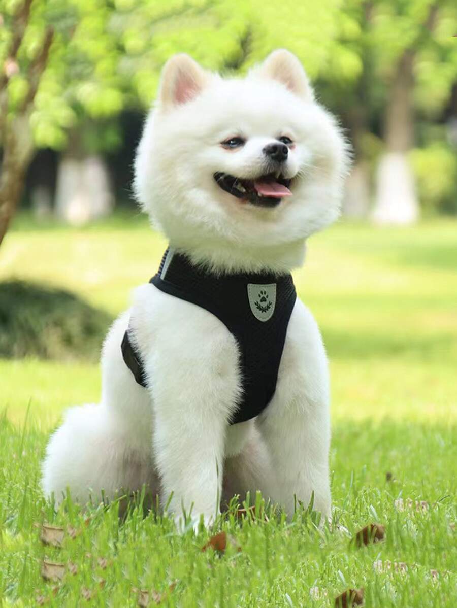 2 chiếc Cartoon Paw Patch Chi tiết Dây xích thú cưng & Bộ khai thác cho chó ngoài trời - màu đen - Xem 1