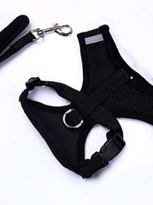 2 chiếc Cartoon Paw Patch Chi tiết Dây xích thú cưng & Bộ khai thác cho chó ngoài trời - màu đen - Xem 3