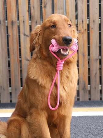 Supet 1pc Bone Design Pet Chew Toy For Dog For Play