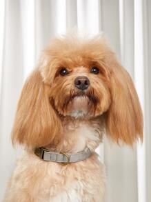 1入組素色寵物項圈適用於狗狗適用於戶外 - 淺灰色 - 查看 2