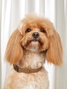1pc Solid Color Pet Collar For Dog For Outdoor