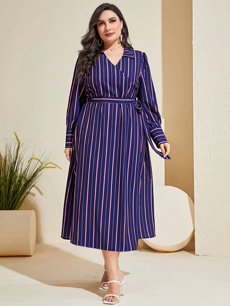 Mulvari Plus Striped Print Belted Dress - Navy Blue - View 1