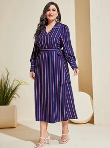 Mulvari Plus Striped Print Belted Dress - Navy Blue - View 4