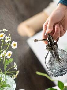 1入組透明玻璃噴壺老式花園用噴壺 - 查看 2