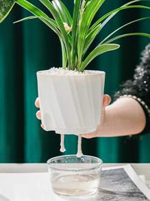 1 pieza maceta de plántulas de plantas de PP, maceta transparente modernista para plántulas - Blanco - Ver 1