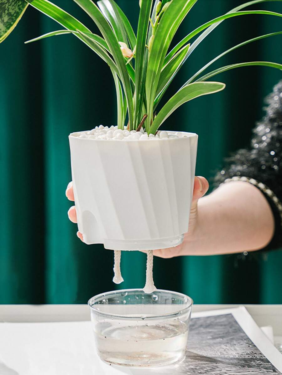 1 pieza maceta de plántulas de plantas de PP, maceta transparente modernista para plántulas - Blanco - Ver 1