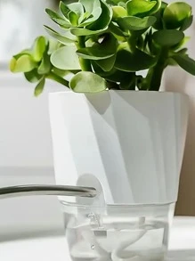 1 pieza maceta de plántulas de plantas de PP, maceta transparente modernista para plántulas - Blanco - Ver 3