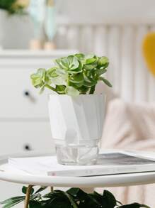1 pieza maceta de plántulas de plantas de PP, maceta transparente modernista para plántulas - Blanco - Ver 4