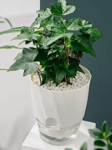 1 pieza maceta de plántulas de plantas de PP, maceta transparente modernista para plántulas - Blanco - Ver 5