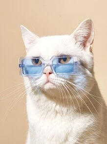 Tinted Lens Pet Glasses