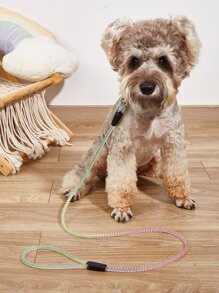 1pc Adjustable Pet Leash For Dog And Cat For Outdoor - Multicolor - View 1