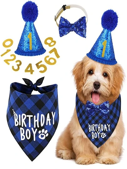 4pcs Slogan Graphic Pet Bandana & Hat & Bow Set For Dog And Cat For Birthday Party