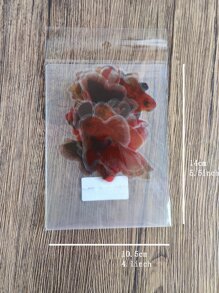 30張裝魚紋貼紙，什錦貼紙，裝飾材料貼紙，學生用 - 彩色 - 查看 4